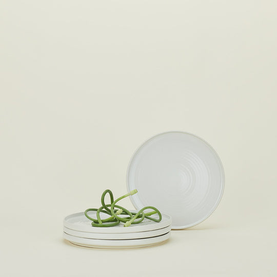 Essential Dinner Plates - Set of 4